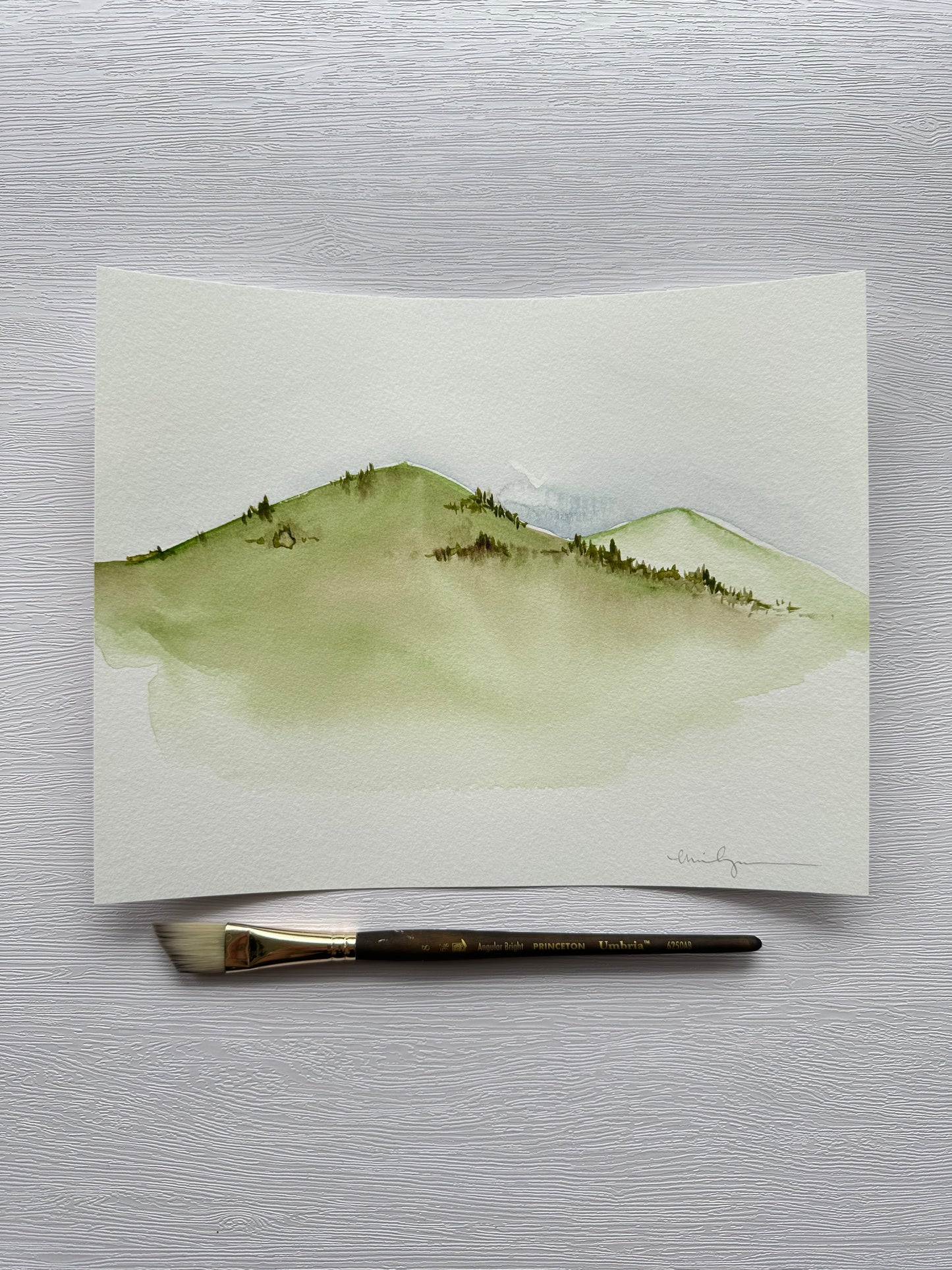 Abstract Watercolor Landscapes for Beginners With Emily Newman