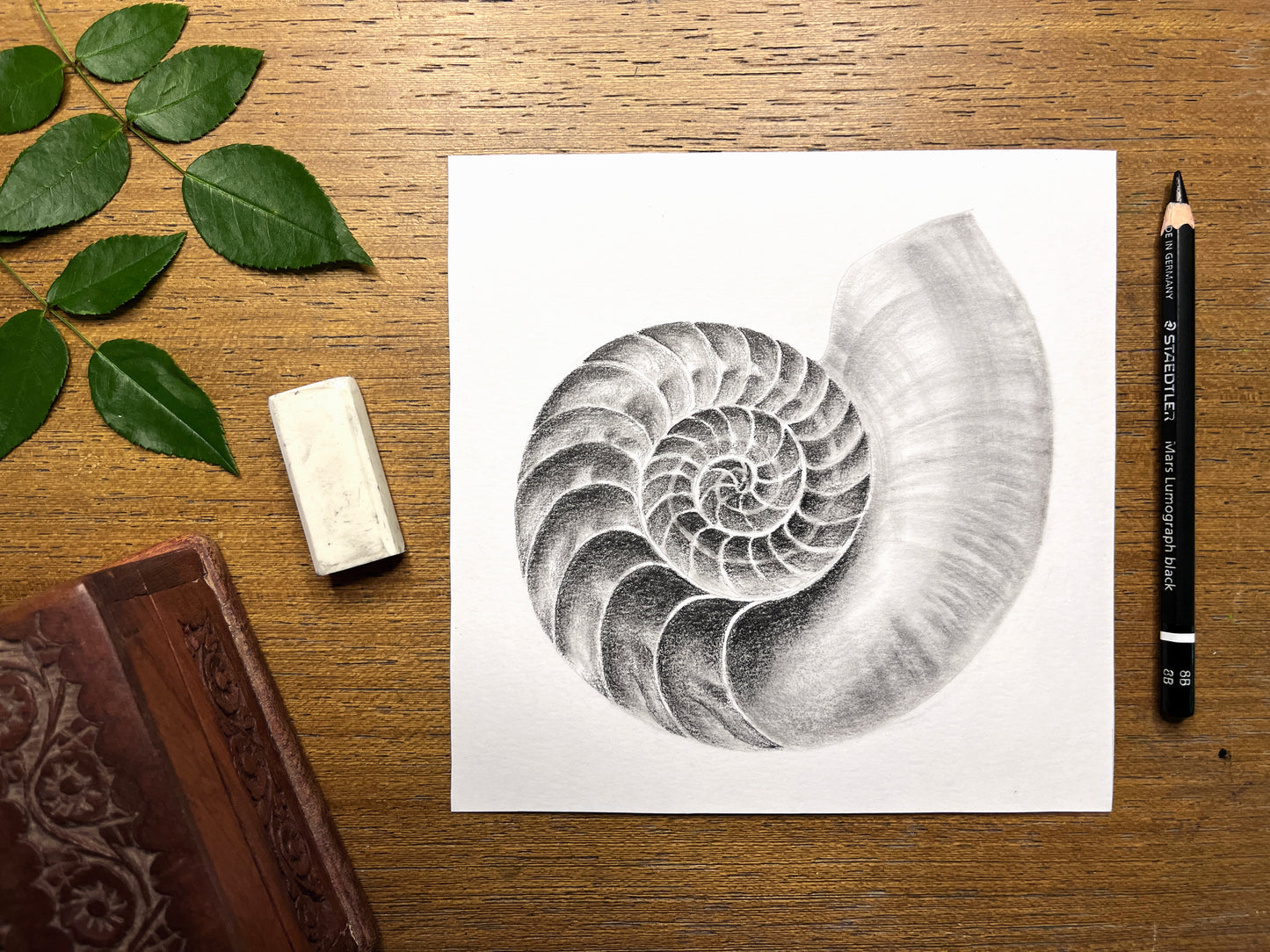 Blending Techniques for Naturalistic Graphite Drawing With Courtney Hopkins
