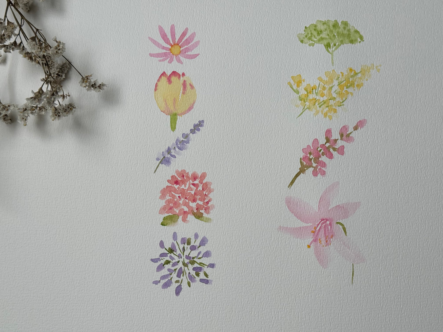 Introduction To Watercolor Florals With Rashmi Thodkar