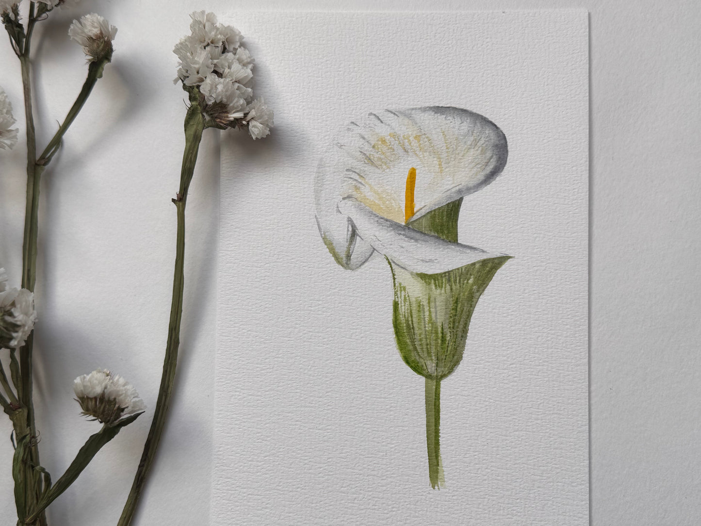 12 Days Of Christmas with Rashmi Thodkar