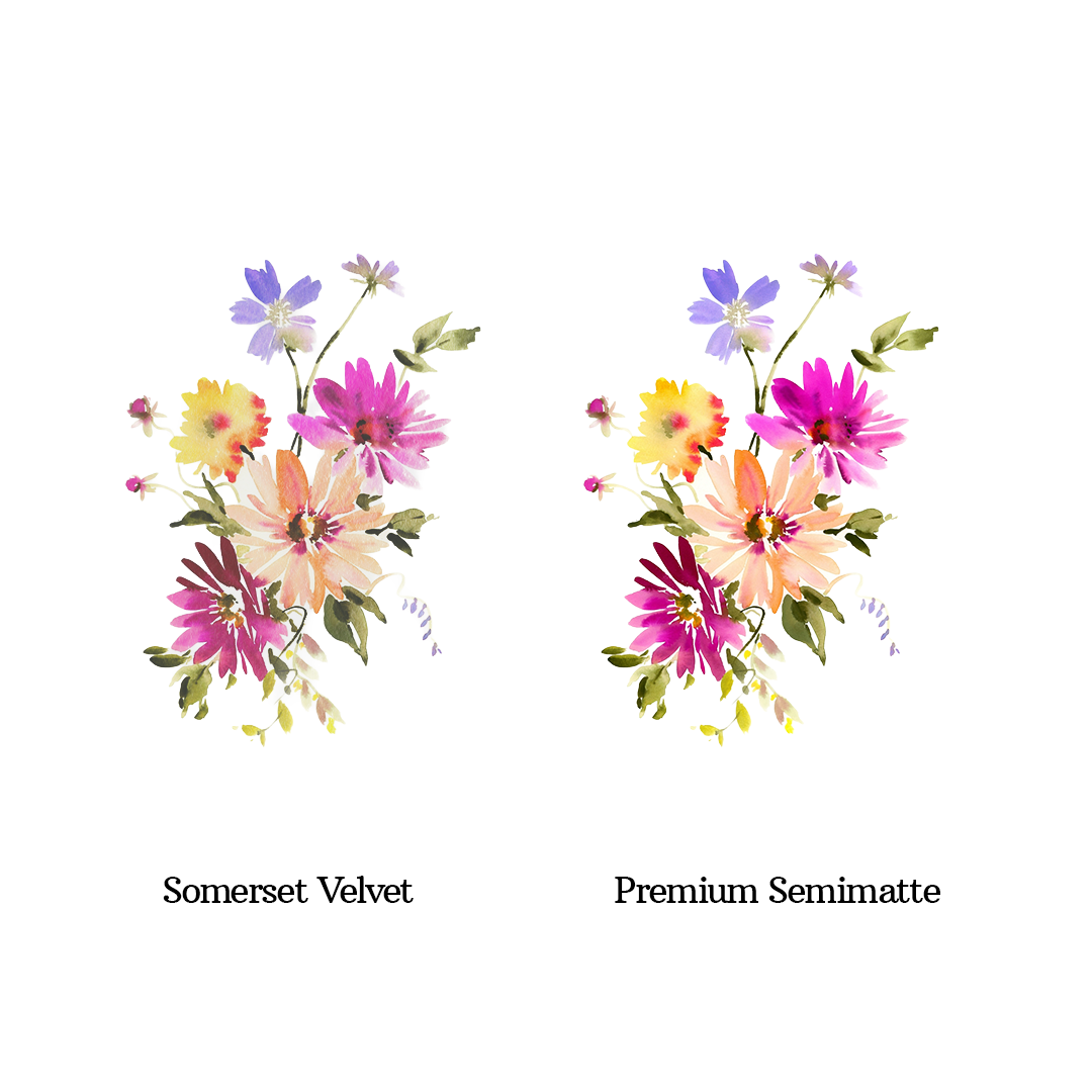 Dahlia Blossom Print by Aurelia Thomson