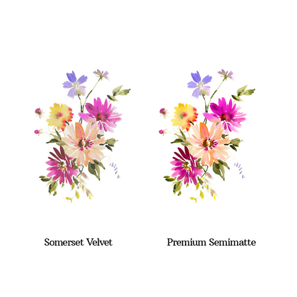 Dahlia Blossom Print by Aurelia Thomson