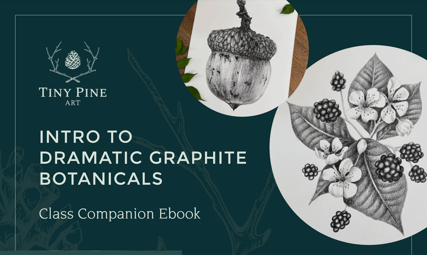 eBook - Dramatic Graphite Botanicals Companion Guide By Courtney Hopkins