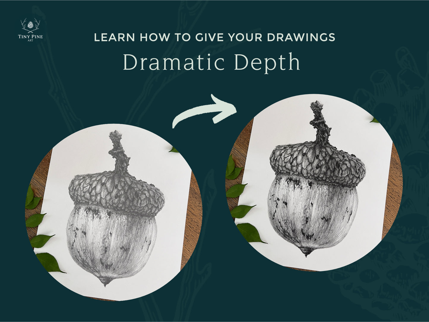 Intro to Dramatic Graphite Botanicals With Courtney Hopkins