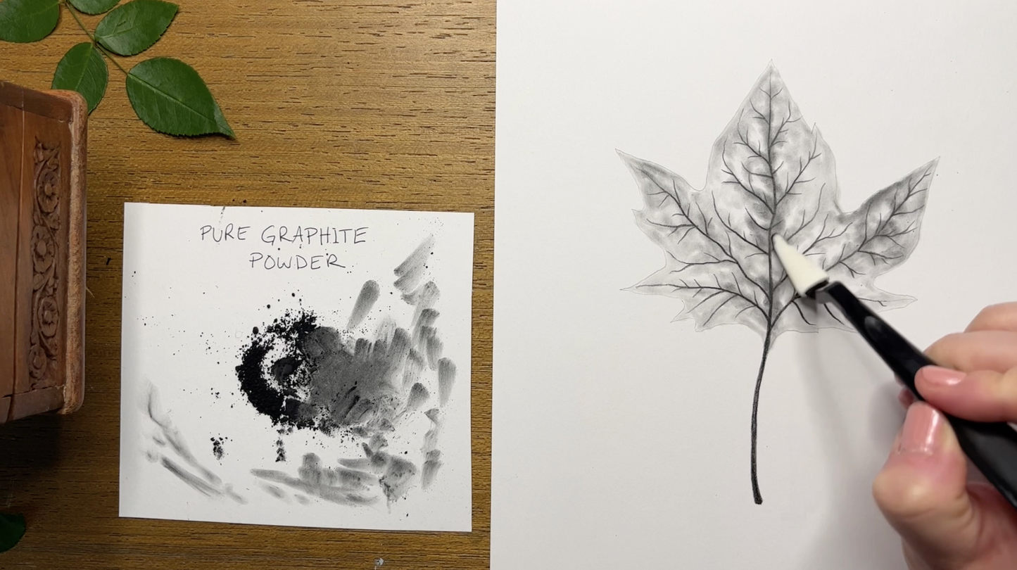 Blending Techniques for Naturalistic Graphite Drawing With Courtney Hopkins