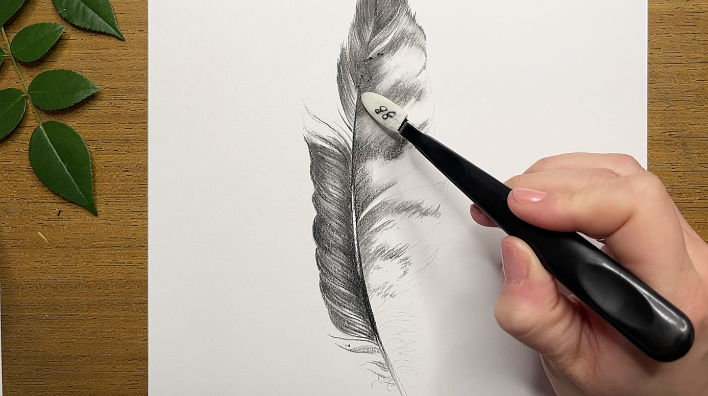 Blending Techniques for Naturalistic Graphite Drawing With Courtney Hopkins