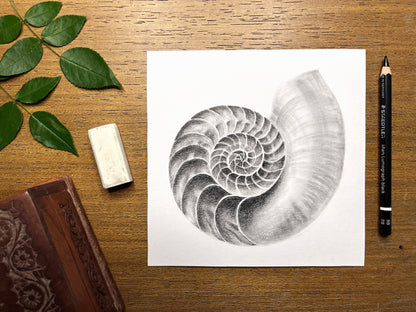 Blending Techniques for Naturalistic Graphite Drawing With Courtney Hopkins