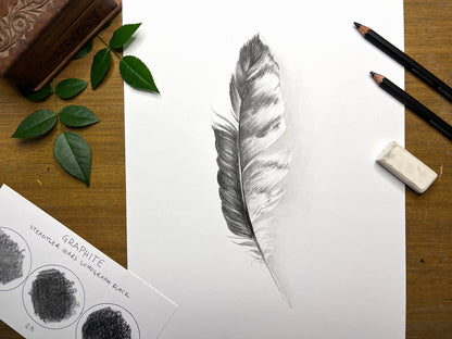 Blending Techniques for Naturalistic Graphite Drawing With Courtney Hopkins