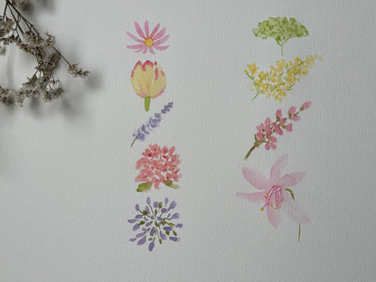 Introduction To Watercolor Florals With Rashmi Thodkar