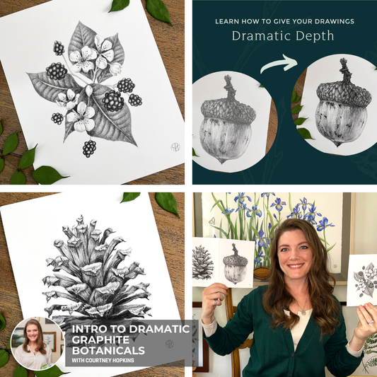 The Essential Guide To Graphite Drawing By Courtney Hopkins